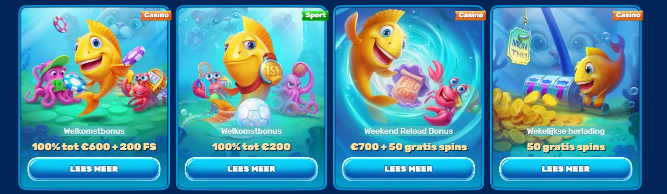 spinfin casino bonusaanbod