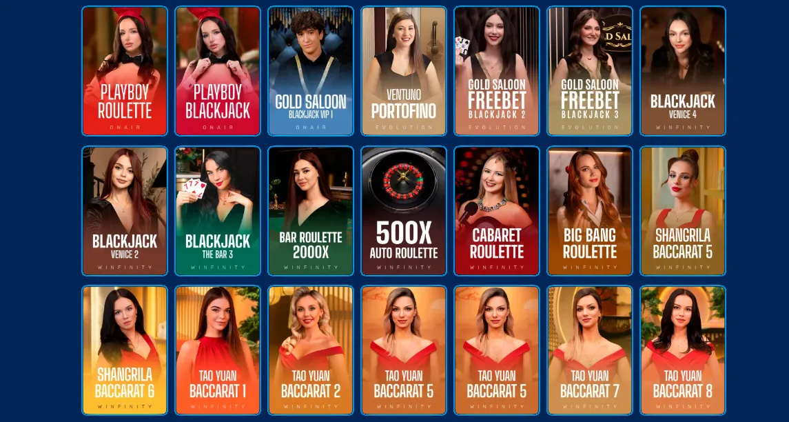 spinfin casino livecasino